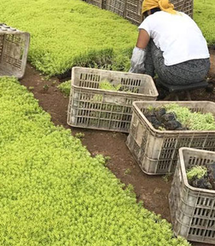 發貨現場